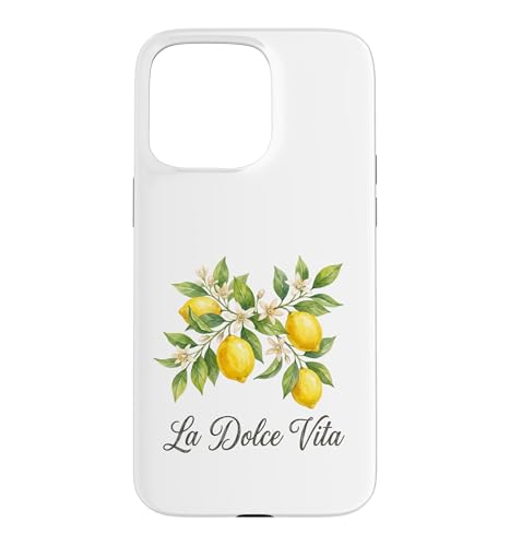 La Dolce Vita ������ �C�^���A�� �� �������`�F�b�� �A�}���t�B�C�� �X�}�z�P�[�X iPhone 15 Pro Max �p