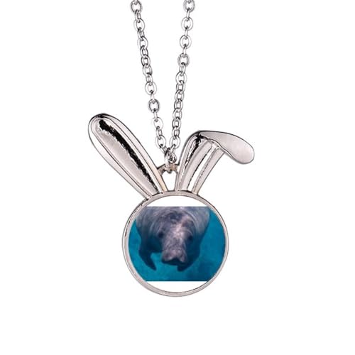 Collier lapin photographie organisme marin sans reflets pour réussir vos compositions d'art
