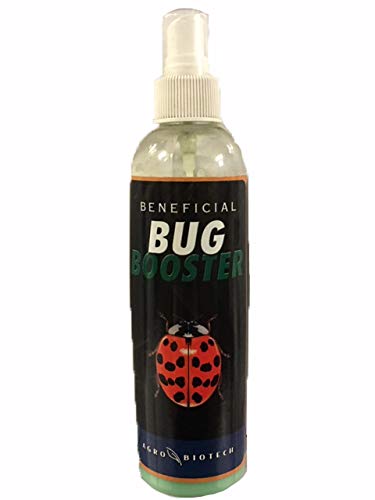 SpringStar Bug Booster
