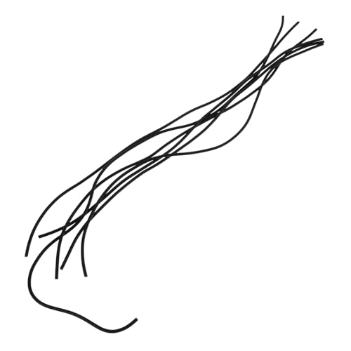 MINAOLULUS 6?՗pS`[u ANZT[ ypp[c  [