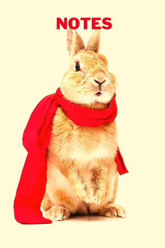 Notes : Cahier de notes motif lapin: Carnet de notes fantaisie et original pour les passionnés