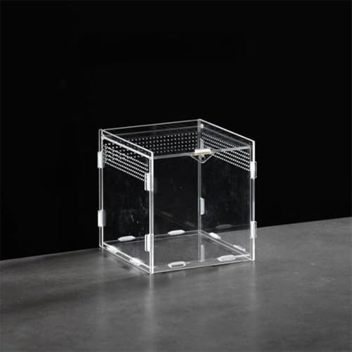 Lorxne 高い透明性 昆虫容器 ・両生類用トカゲ ヤモリ ハムスター/蛙/亀/トカゲ/蛇/昆虫ど適用 アクリル製 無色 透明ボックス 給餌箱 通気性 積み重ねる 組み立て簡単 ペット用品 小型爬虫類 餌やり ケース 脱走防止 360°観察 (10X10
