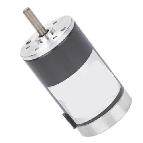 Moteur électrique à balais anti-surchauffe pour automatisme 12V