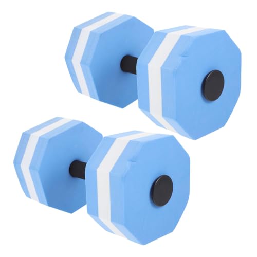 ERINGOGO L_f^p_x yʂň₷݌v w_  oX P lv[GNT