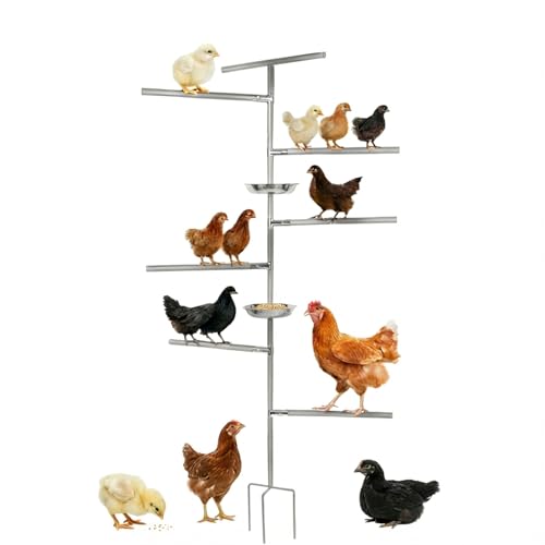 Chicken Perch Toy with Feeding Tray and Ground Plug