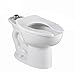 American Standard 2234.001.020 Madera Universal Elongated Toilet Bowl without EverClean, Top Spud, White