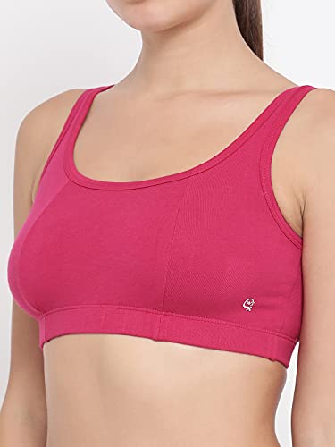 Image of Women Bra