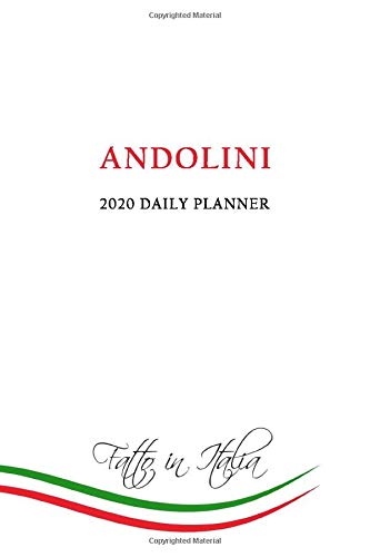 2020 Daily Planner: Andolini Family