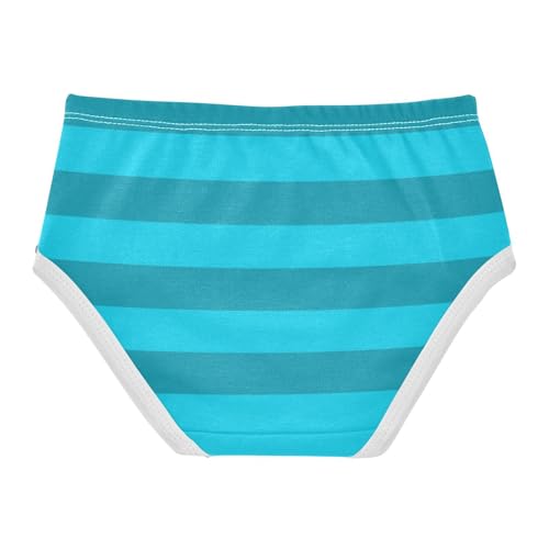 Blue Gray Stripe Toddler Girls's Underwear 2T2