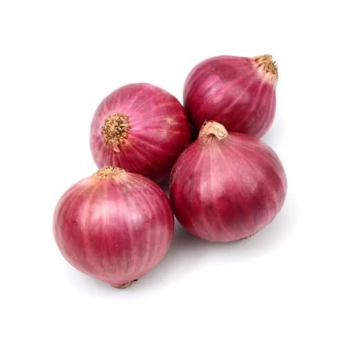 Fresh Onion Red 0.9-1 kg India