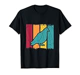 Tauben Brieftauben Designs & Geschenke