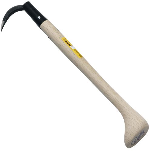 How many spade toothed whales are there