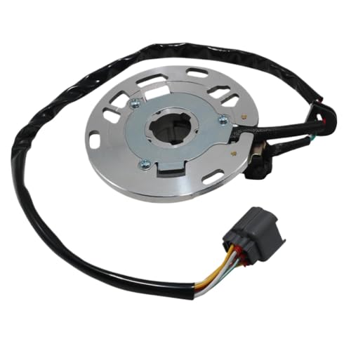 Bobina de estator de encendido compatible con KX125 KX125 L1 L1 1999 L2 KX125 L2 2000