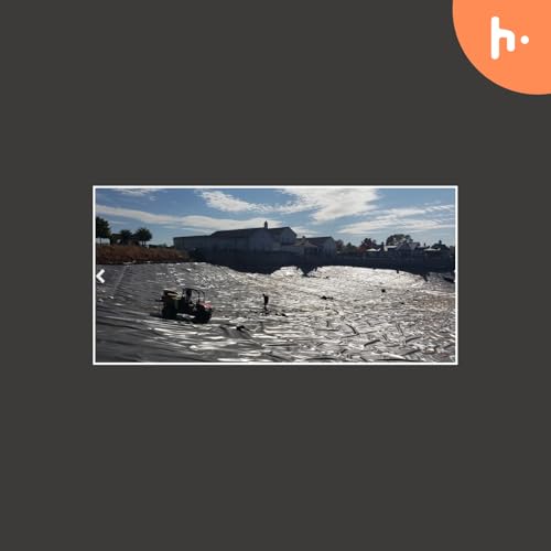 Pond Builder in Kentucky Titelbild