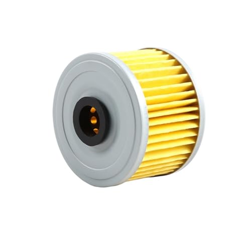 NKURTPC Motorrad Ölfilter Motorrad Ölfilter Fit Für Loncin VOGE Valico 300R/RR/AC/GY/DS Rally 300 300AC 300DS CR6 LX300-6A(1PC)