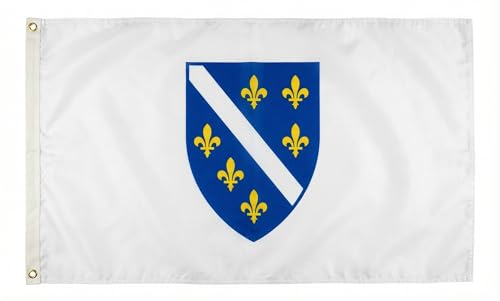 Flaggenfritze Bosnien 1992-1998 Flagge 90 x 150 cm - hochwertige historische bosnische Nationalfahne + Gratis Aufkleber