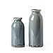 VICTOR & TERESA Blue and Grey Ceramic Vase Home Decor, Farmhouse Vases for Flowers, Flower Vase Set of 2, Rustic Decorative Vases for Pampas Grass, Table, Living Room, Shelf, Centerpieces, 8 inch