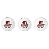 Desert Cactus Winston-Salem State University Three Golf Balls - Full Color 3 Pack, WSSU Rams Officially Licensed Gear (Design B)