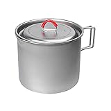 エバニュー(EVERNEW) Ti Mug pot 900 ECA539