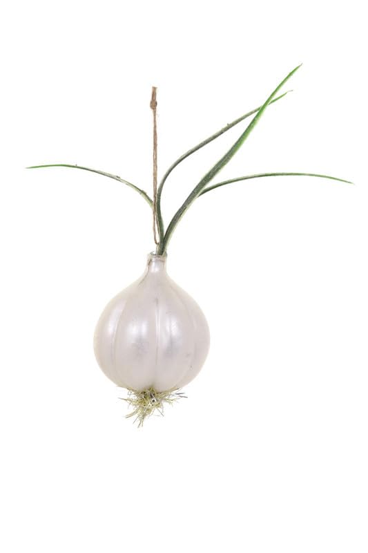 The Bridge Collection Farmstand Onion Christmas Ornament - Realistic Pearl White Onion Hanging Vegetable with Green Leaves, 7" Farm Ornament for Gardeners