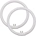 (2 Pack) Circular Fluorescent Bulb T4 12W 5.5 Inch Outside Diameter Replacement for Conair Makeup Mirror
