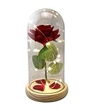 Dependable Industries inc. Essentials Eternal Red Rose in Dome with LED Lights – Romantic Gift for Her on Mother’s Day, Weddings, Birthdays & Special Occasions – Includes Gift Box
