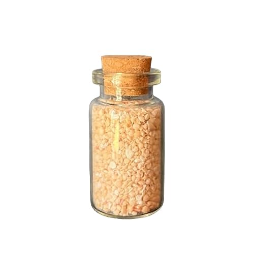 Japan Star Sand, Rare Okinawa Star Sand Jar, Star Shaped Sand, Japan Beach Sand, Sun Sand, Living Fossil Shell Sand, Oddities, Curiosities, Ethically Sourced