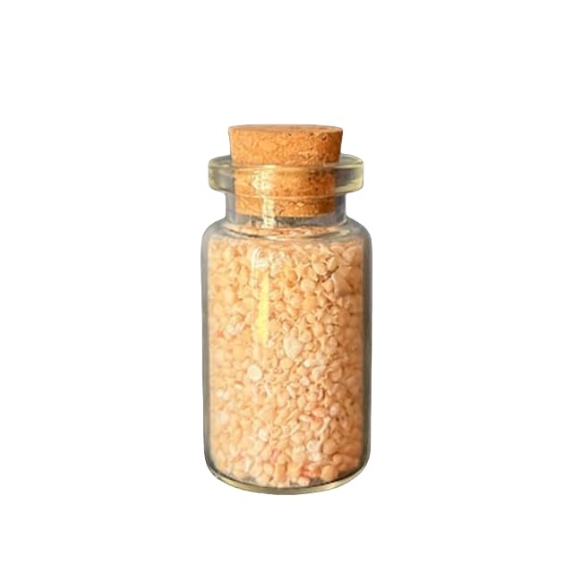 Amazon.com: Japan Star Sand, Rare Okinawa Star Sand Jar, Star