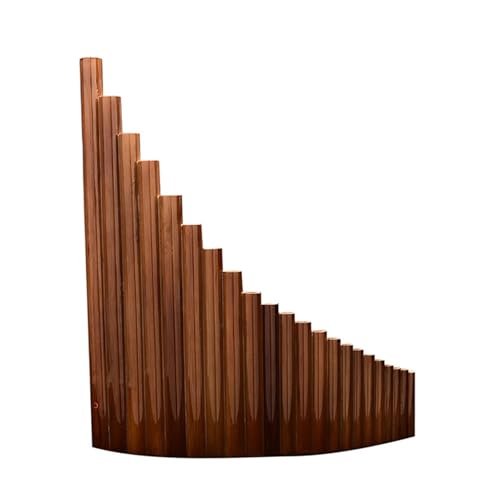 pt[g VR؊Ǌy 22 pCv ppCv National Instrument vtFbVi ptH[}X ppCv(C,Flute)