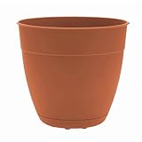 Bloem Dayton Planter with Saucer: 12' - Terra Cotta - 100% Recycled Plastic Pot, Removable Saucer, Elevated Feet, for Indoor and Outdoor Use, Gardening, 3 Gallon Capacity