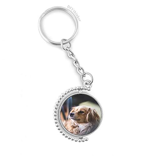 Porte-clé bague chien rotatif DIYthinker pour ne plus perdre vos clés