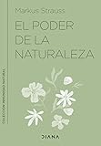 El poder de la naturaleza: Refuerza tu inmunidad con la ayuda de las plantas silvestres