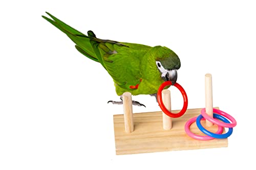 Educational-Wooden-Parrot-Toy-with-Colourful-Rings-Cockatiel-Bird-Toys-for-Parakeets-Large-Conure-cuttlebone-Birds-Treats-Mazuri-Tortoise-Diet-Millet-Spray