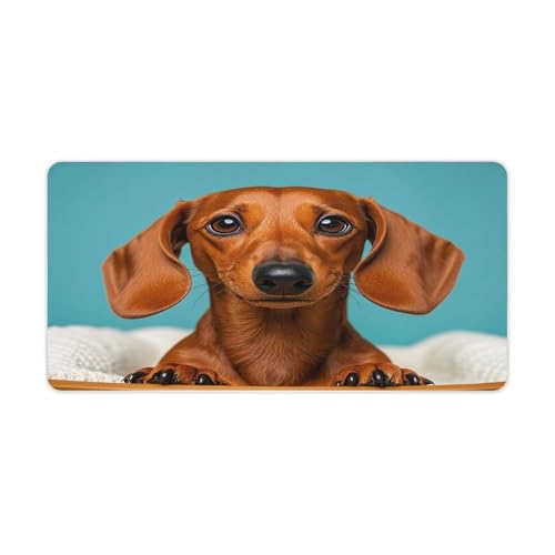 Protector de Escritorio Rubber FekiLoot 30x60 cm