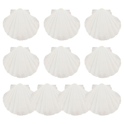 Conchas de vieira naturales MOKKHNB de diez piezas beige para servir comida en casa