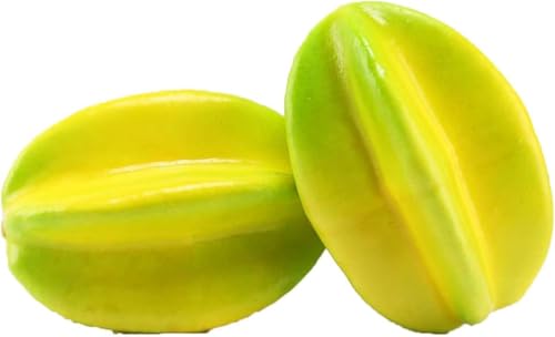 VACCU 2̃SVU̐lȞIȃf̉ƁAƂ̑䏊̃p[eB[̑̊̑̂߂̖{̑IȉʕƖ