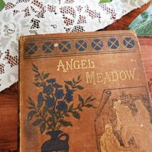 Amazon.co.jp: ゜+ 19世紀 洒落たフローラルイラスト付き表紙 英国