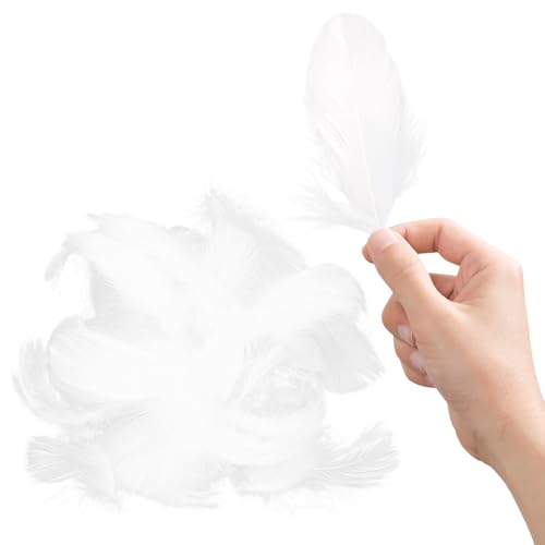 Tabanzhe 100 White Dreamy Feather Decorations for DIY Dream Catcher Costumes Wedding and Holiday Crafts - Assorted Natural Carnival/Wedding/Party Decorations Supplies(White)
