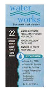 Water Works Waterworks Powder Hair Color #22 Brown Black (Pack of 6)