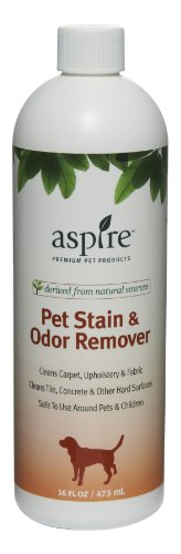 Aspire Pet Products Stain & Odor Remover 16 fl oz Bottle Naturally Derived Dog