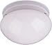 Maxim 85881WTWT, Utility EE Flush Mount, 2-Light 26 Watts CFL, White