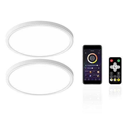 LED Flush Mount Ceiling Light, Smart app Control, Surface Mounted Ceiling Light for Living Room, Dining Room, Kitchen (White, Two Pack)