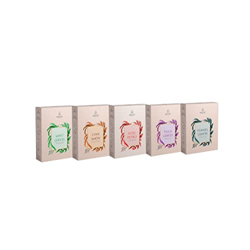 Image of Nature's Park Herbal Infusions Combo Rose Petals+Cinnamon+Mint Leaves +Tulsi Leaves +Fennel Seeds (5x5 Pyramid Infusion Bags)