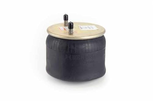 DAYTON PARTS S-21800 Air Spring