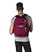 JanSport Cool Backpack, with 15-inch Laptop Sleeve - Large Computer Bag Rucksack with 2 Compartments, Ergonomic Straps, Russet Red