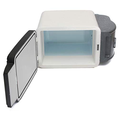 Am besten 12V 45W 6L Auto Minirock Kühlschrank 2 in 1 Gefrierschrank Heizung Kühler Wärmer Auto Kühlschrank Tragbare GELADEIRA Icebox Van