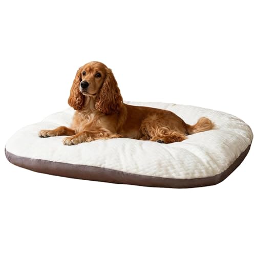 Lifetips AJERbJ[EXpjG ybgxbh  L \t@ NbV 􂦂Jo[ h  ӂӂ 傫 I[V[Y ~ y ϋv ᔽ ʋC  R hL h_j ې OȒP p 