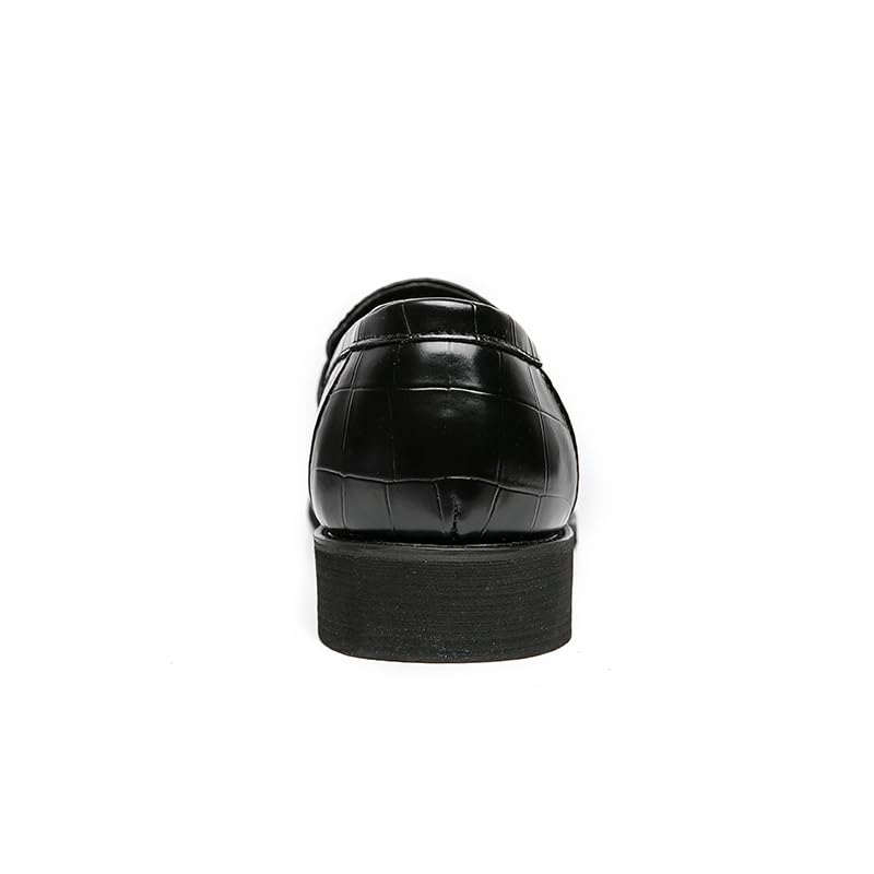 Loafers for Men Pointed Toe Block Pattern with Tassel Loafer Shoes Flat Heel Flexible Anti-Slip Casual Slip-on4