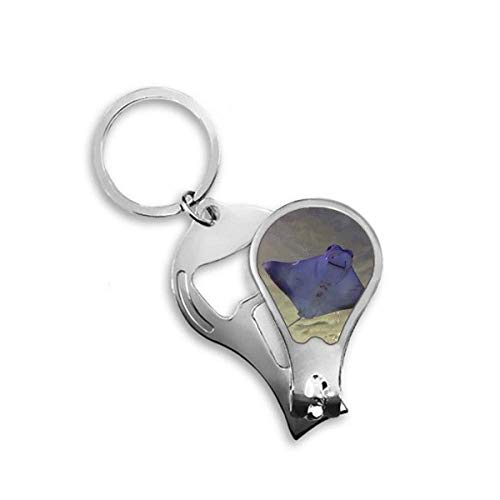 Coupe-ongles de pieds Ocean Ray Skate accessoire pédicure de science naturelle
