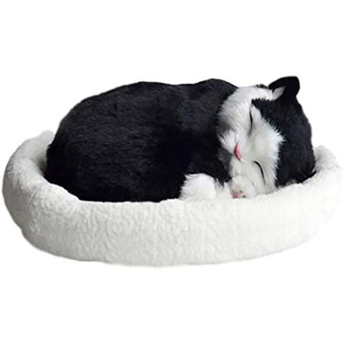 ʂ ʂ L̃I[ig ċzʂ av[g {̔L Oh[ l` l` I[ig 킢 CeA  Ԃ̏ yY (TY006)